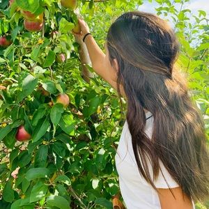 Meet your Posher, Bailey